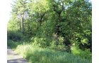 Property photo 2 - 20 Acres Offered in 3 Tracts - Hunting, Wildlife, & Recreation!
